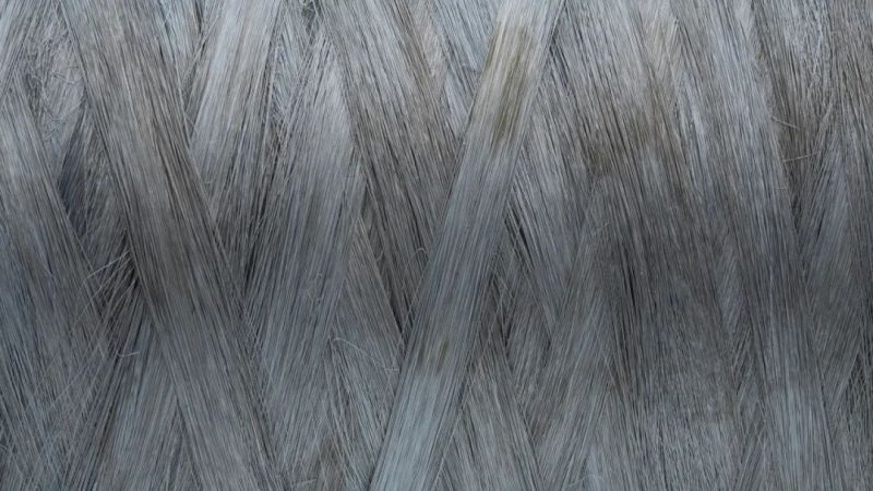 hjc888黄金城·(中国游)官方网站